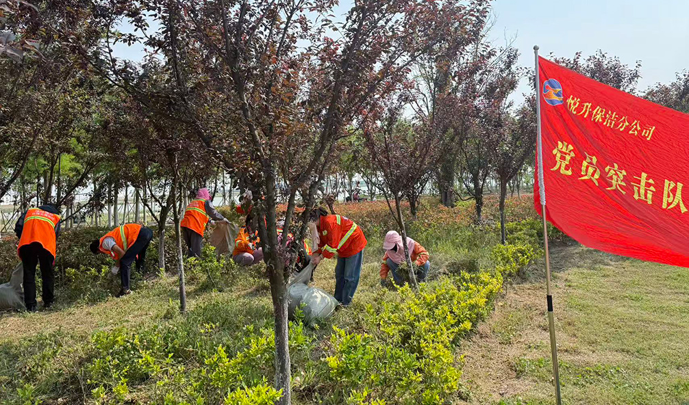 3a93f331a78096aa0392b35612f417ec