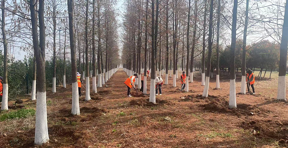 ba4ebf0edc8780b87d4b363f40b9d424